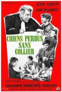 Бродячие собаки без ошейников (1955)