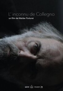 Незнакомец из Колленьо		 (2019)