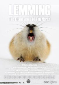 Лемминг, маленький гигант Севера (2017)