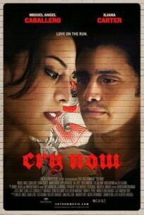 Рыдай сейчас (2016)