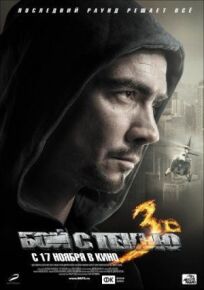 Бой с тенью 3: Последний раунд (2011)