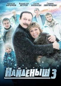 Найденыш 3 (2012)