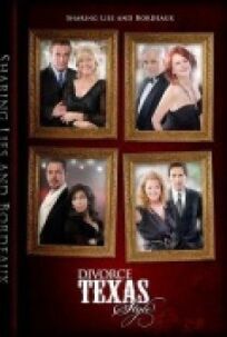 Divorce Texas Style (2016)