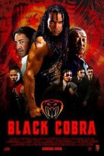 Чёрная кобра (2012)