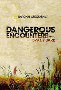 National Geographic. Опасные встречи (2005)