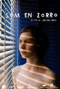 Такой, как Зорро (2012)