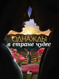 Однажды в стране чудес (2013)