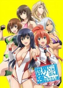 Sekai de ichiban tsuyoku naritai! (2013)