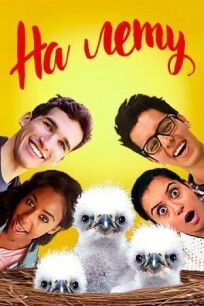На лету (2015)