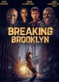 Разрушение Бруклина (2018)