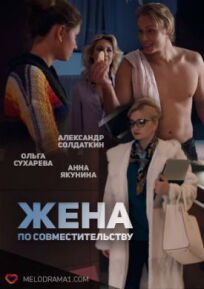 Жена по совместительству (2013)