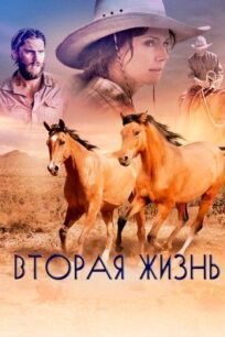 Вторая жизнь (2016)