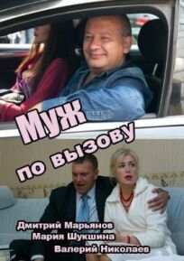 Муж по вызову (2015)