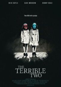 Зловещая двойня (2017)