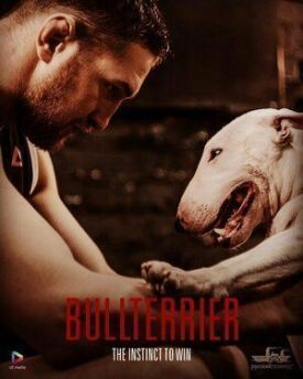 Бультерьер (2021)