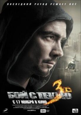 Бой с тенью 3: Последний раунд (2011)