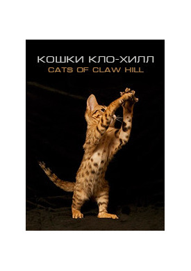 Кошки Кло-Хилл (2009)