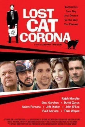 В Короне пропал кот (2015)