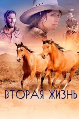 Вторая жизнь (2016)