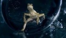 Лучшие документальные фильмы