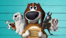 Самые милые фильмы и мультфильмы