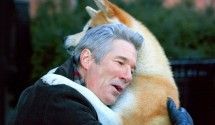 Драмы про животных