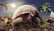 Познавательные фильмы