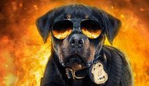 Детские фильмы 2018 года