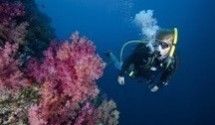 Фильмы про подводный мир