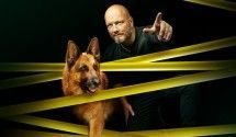 Остросюжетные сериалы