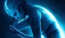 Популярное на zfilm
